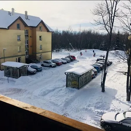 Pod Lesom Apartment *